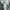 Burberry Biker Bomber jacket Pria tan black photo 3