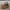 Vintage Y2K Boots Pria brown photo 1