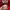 Sportswear Casual Track jacket Pria red photo 5