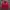 Sportswear Casual Track jacket Pria red photo 1