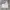 Casual Cami top Wanita white photo 1