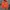 Pancoat Streetwear Suit Pria orange photo 1