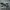 Adidas Streetwear Casual Sneakers Pria white black photo 1