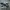 Adidas Streetwear Casual Sneakers Pria White Black