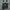 Adidas Streetwear Casual Sneakers Pria white black photo 2