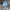 JanSport Luxury Bag Pria blue photo 1