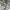 T Buc Streetwear Biker Windbreaker Pria gray photo 3