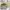 Michael Kors Luxury Bag Pria multicolor photo 2