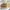 Michael Kors Luxury Bag Pria Multicolor