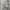Streetwear Biker Denim jacket Pria tan brown photo 4