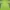 Deuter Sportswear Casual T-shirt Wanita green photo 3