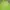 Deuter Sportswear Casual T-shirt Wanita green photo 2
