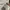 The North Face Vintage Streetwear T-shirt Pria white photo 4