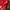 Uniqlo Casual T-shirt Wanita red photo 3