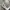 Superdry Vintage Streetwear Bag Pria white photo 4
