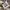 Superdry Vintage Streetwear Bag Pria white photo 6