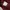 Converse Sportswear Casual T-shirt Wanita burgundy photo 3