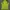 Deuter Sportswear Casual T-shirt Pria Yellow