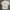 Levi's Vintage Streetwear Casual shirt Pria white photo 7