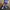 Japanese brand Cosplay Belt Kids navy photo 3