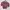 Minimalist Crop top Wanita purple photo 1