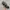 New Balance Streetwear Sportswear Sneakers Pria black gray photo 1