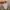 GAP Vintage Hat Kids white photo 3