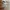 GAP Vintage Hat Kids white photo 4