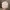 GAP Vintage Hat Kids white photo 2