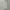Arnold Palmer Vintage Luxury Polo shirt Pria cream photo 4