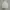 Arnold Palmer Vintage Luxury Polo shirt Pria cream photo 1