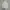 Arnold Palmer Vintage Luxury Polo Shirt Pria Cream
