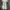 Coquette Midi dress Wanita white photo 4
