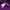 NEPA Sportswear Casual T-shirt Wanita purple photo 3