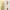 Luxury Minimalist Wanita white photo 1
