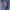 Biker Casual Bomber jacket Pria blue photo 3