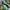 New Balance Indie Casual Sneakers Pria green yellow photo 2