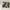 Nike Streetwear Skater Sneakers Pria gray cream photo 4