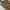 Nike Vintage Streetwear Sneakers Pria white gray photo 1
