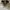 Nike Vintage Streetwear Sneakers Pria white gray photo 6