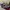 VANS Skater Sneakers Pria red gray photo 6
