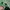 Vintage Casual Hat Pria green photo 4