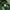 Vintage Casual Hat Pria green photo 3