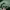 Vintage Casual Hat Pria green photo 2