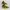 Nike Streetwear Casual Sneakers Wanita yellow photo 4
