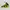 Nike Streetwear Casual Sneakers Wanita yellow photo 1