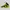 Nike Streetwear Casual Sneakers Wanita Yellow