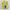 Nike Streetwear Casual Sneakers Wanita yellow photo 6