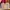 Tory Burch Minimalist Tote bag Wanita red photo 1