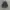 Porter Yoshida Streetwear Casual Bag Pria multicolor photo 1